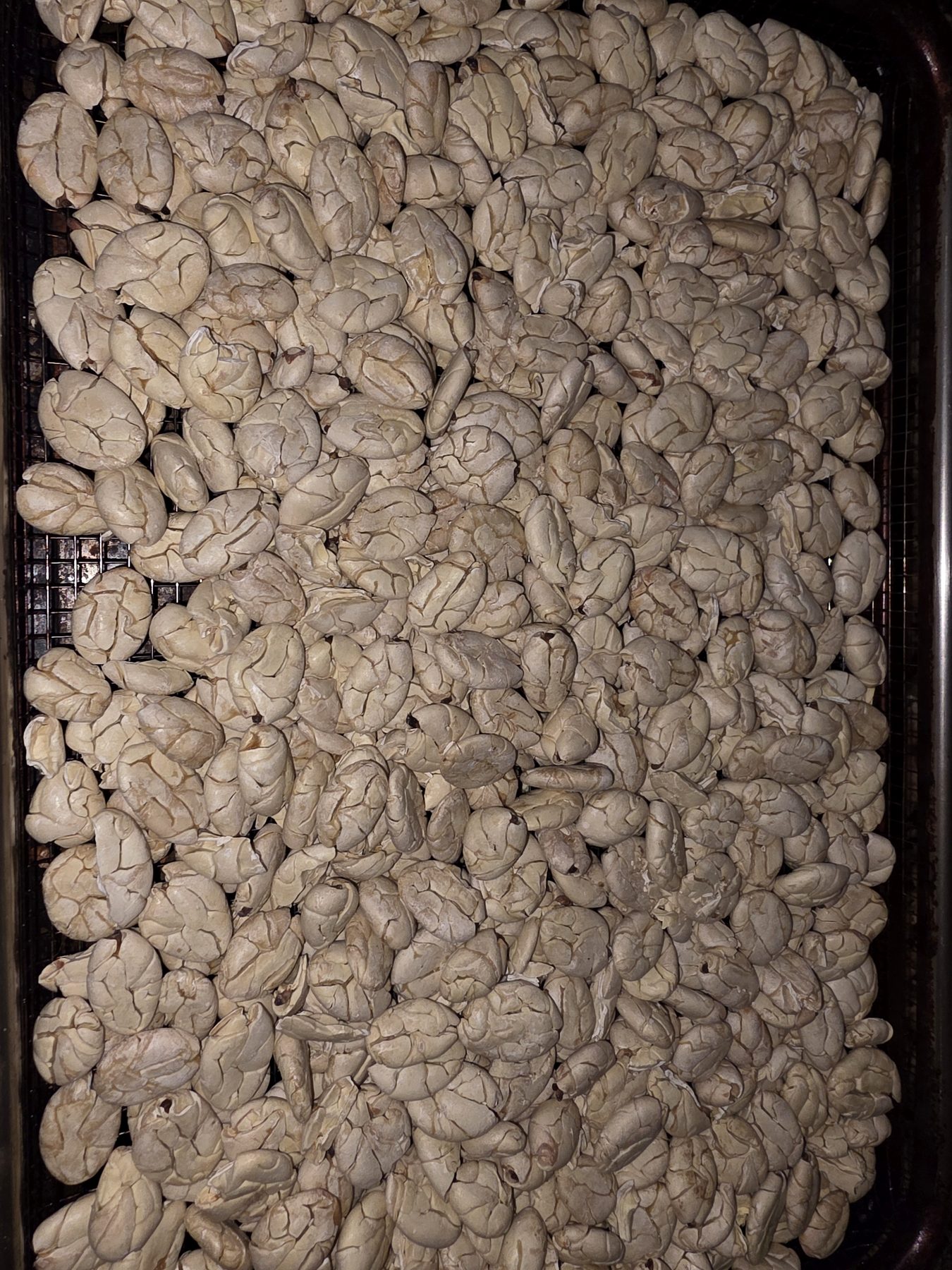 Cacao beans before chocolate making