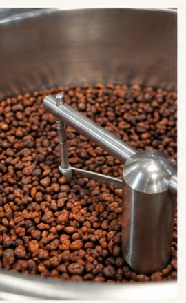 Cacao beans at the roasting and winnowing stage